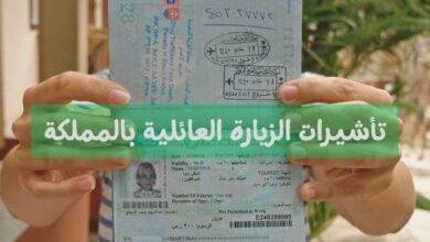 لمسة واحدة لإنهاء صلاحية تأشيرة الزيارة الإلكترونية في السعودية: سهولة حكومية بلا عناء!