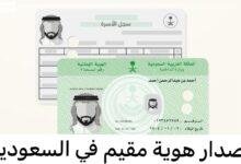 نتائج الشهادة الإعدادية الترم الثاني 2025 في كفر الشيخ: استعلم الآن عبر natiga net!