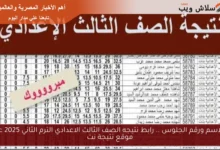 الحصول على نتيجة الصف الثالث الإعدادي الترم الثاني 2025 بالاسم ورقم الجلوس عبر موقع نتيجة نت