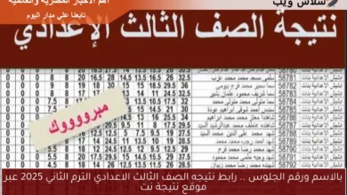الحصول على نتيجة الصف الثالث الإعدادي الترم الثاني 2025 بالاسم ورقم الجلوس عبر موقع نتيجة نت