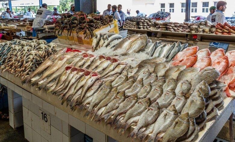 أسعار الأسماك والجمبري اليوم الأحد 22 يونيو 2025