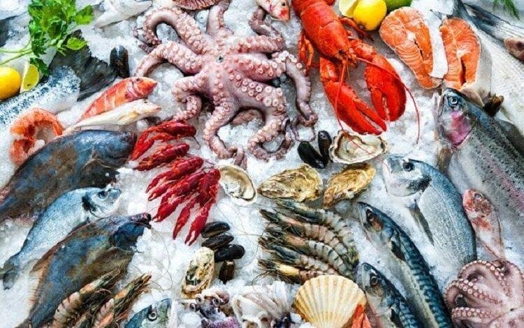 البوري بكام؟.. أسعار السمك اليوم الإثنين 23 يونيو 2025