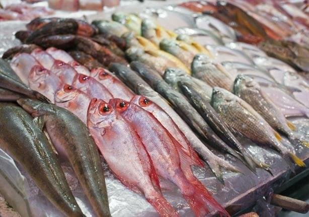 أسعار الأسماك والجمبري اليوم الجمعة 27 يونيو 2025