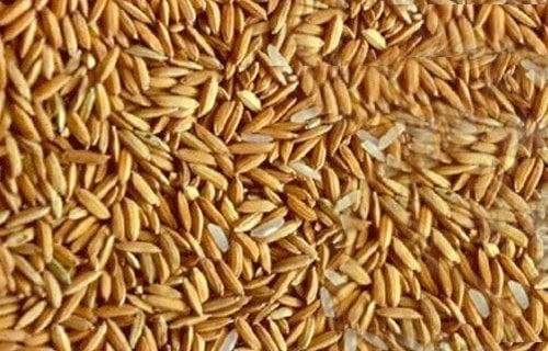 «عريض الحبة بكام؟».. سعر الأرز الشعير اليوم الأحد 22 يونيو 2025