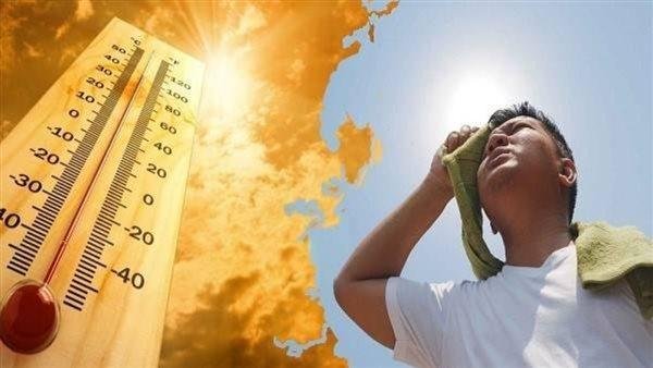 أستاذ بالقصر العيني يوجه تحذيرا لمرضى الضغط والقلب خلال الموجات الحارة