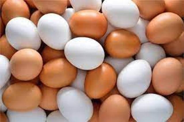 أسعار البيض اليوم الجمعة 27-6-2025