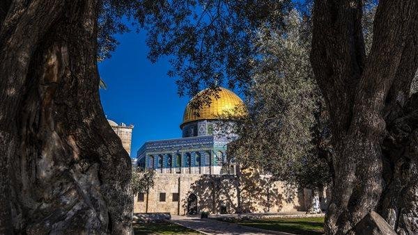 إصابة 3 فلسطينيين برصاص مستوطنين شمال شرق القدس