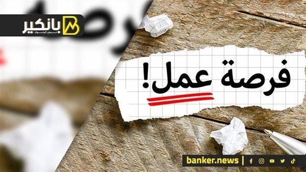 إلحق قدم.. فرص عمل برواتب 15 الف جنيه شهريًا
