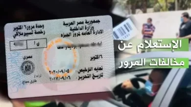 استعلم الآن عن المخالفات المرورية برقم اللوحة لعام 2025 – خدمة سريعة وموثوقة!