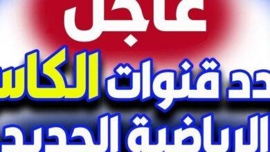 ارفع الصوت وهتف بقوة.. قنوات الكأس القطرية تحي المنافسة بتغطية خرافية HD ملاعب حماسية