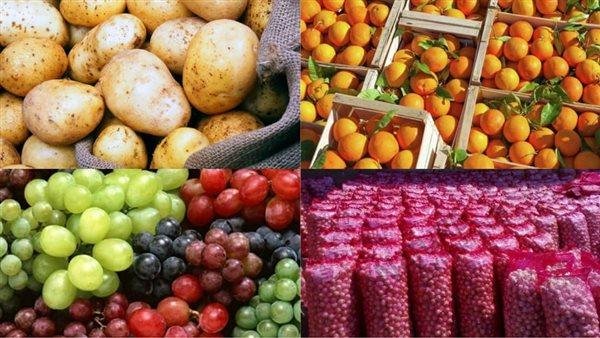 الزراعة: 5.2 مليون طن صادرات زراعية خلال النصف الأول من 2025