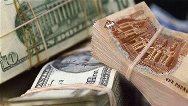 الضربة القاضية لـ"خفافيش الدولار".. إزاي البنك المركزي خلص على تجار العملة وسيطر على سوق الصرف؟