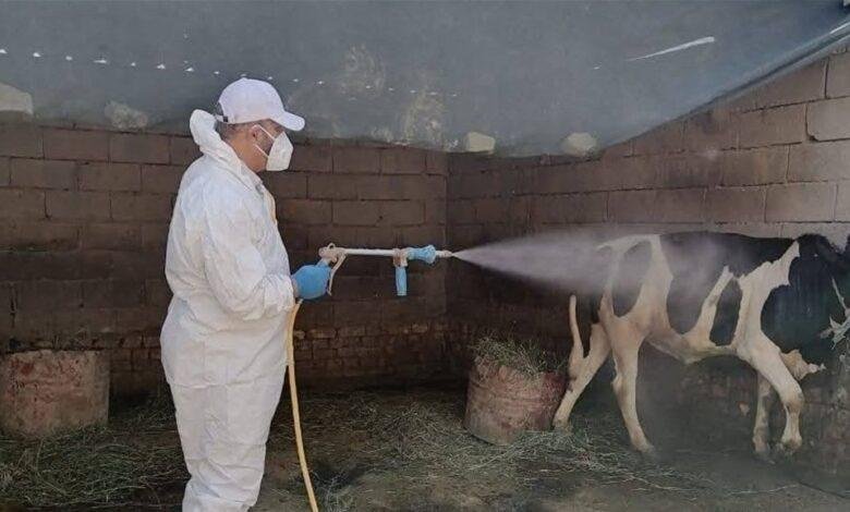 العراق.. إجراءات احترازية من الأمراض الوبائية