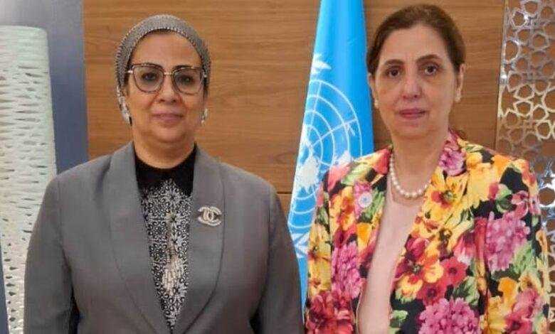 المستشارة أمل عمار تلتقى الأمينة التنفيذية للجنة الاقتصادية والاجتماعية لغرب آسيا "الإسكوا"