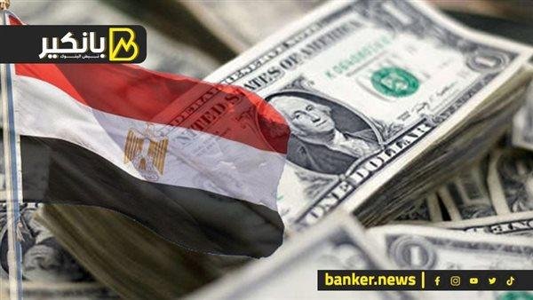 انفراجة كبرى في أزمة الدولار.. أخيرا الحكومة بتتحرك صح