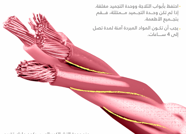 بالإنفوجرافيك .. نصائح للحفاظ على طعامك عند انقطاع الكهرباء