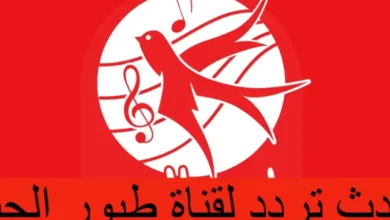 فرّح أطفالك واستقبل التردد الجديد.. قناة طيور الجنة بيبي 2025 على نايل سات وعرب سات