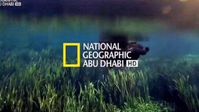 اضبط رسيفرك فورًا.. تردد قناة ناشيونال جيوغرافيك الجديد 2025 على نايل سات اكتشاف عالمي