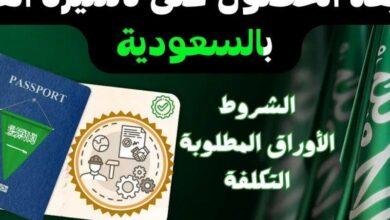تأشيرة عمل مجانية في السعودية 1446: خطوات سهلة للحصول عليها!