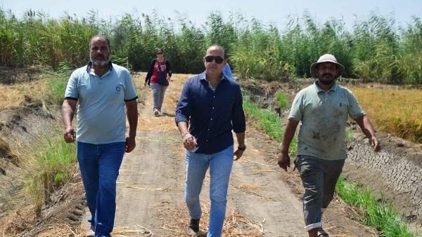 رئيس مدينة بورفؤاد يؤكد أهمية التوسع في زراعة محاصيل الأرز والقطن والذرة
