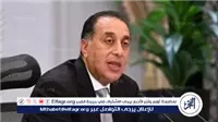 عاجل- الحكومة تتحرك لدعم "السكر المصري".. خطة شاملة للتوسع وضبط السوق