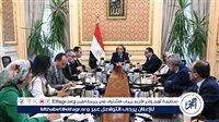 عاجل- اللجنة الاقتصادية: لا مساس بالجنيه أو الوظائف ومصر مستعدة لأي صدمة خارجية