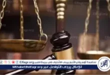 عاجل.. المشدد 5 سنوات لعنصر بـ "لجان العمليات النوعية"