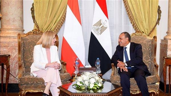 عاجل| وزير الخارجية: حريصون على وضع حد لهذه المأساة والكارثة الإنسانية في قطاع غزة