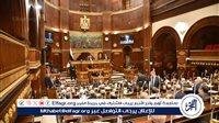 عضو مجلس الشيوخ: 30 يونيو نقطة تحول فارقة في الحياة السياسية والاجتماعية في مصر