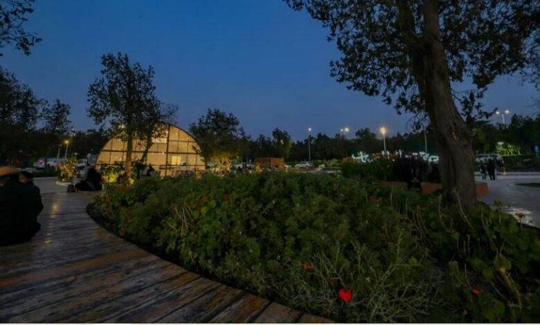 غابة رغدان.. وجهة صيفية ساحرة على قمم السروات تتألق بمقوماتها الطبيعية