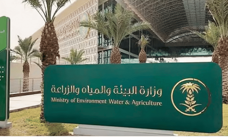 غدا.. بدء تطبيق ضوابط بيع المواشي الحية بالوزن باستخدام موازين معتمدة