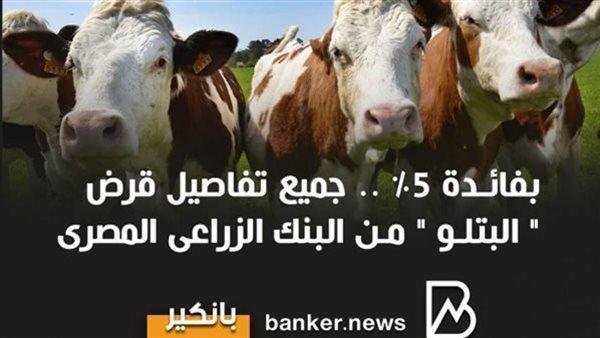قرض البتلو من البنك الزراعي المصري.. فائدة 5% فقط وبدون مصارف إدارية