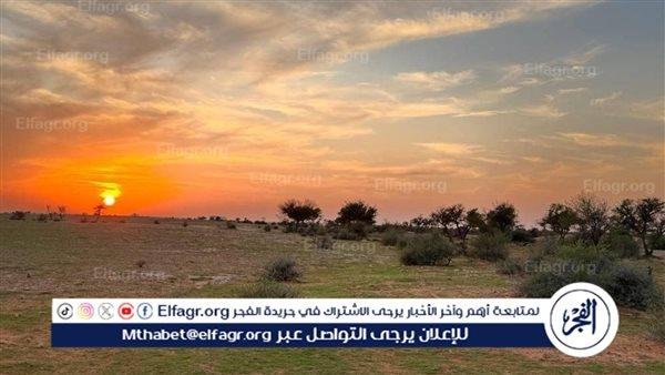 محمية الإمام تركي تفعّل اليوم العالمي لمكافحة التصحر.. «معًا لبيئة أكثر ازدهارًا» أخبار الأربعاء 18 يونيو