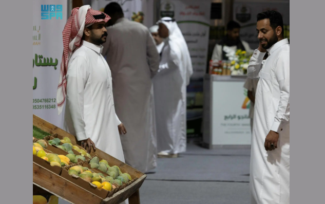 مهرجان المانجو بأملج يختتم فعالياته بحضور أكثر من 14 ألف زائر