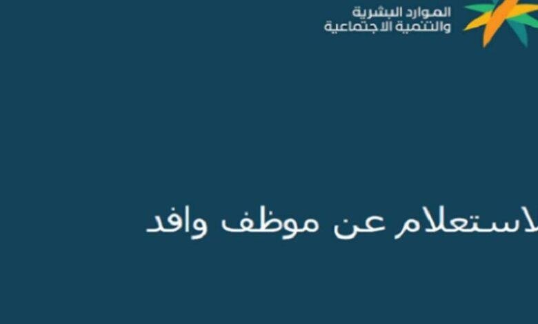 وداعاً للتعاقدات غير النظامية: الاستعلام عن موظف وافد برقم الإقامة 1446هـ عبر موقع وزارة التنمية