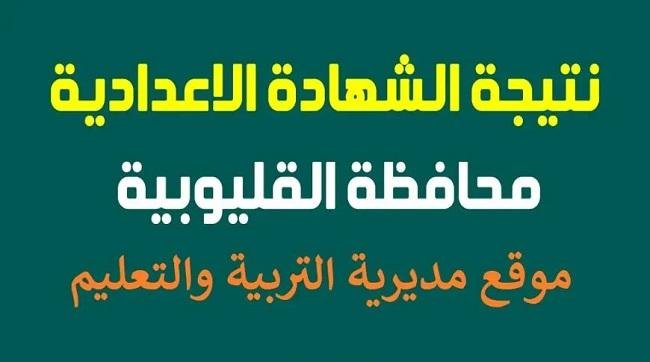 نتيجة اعدادية القليوبية 2025