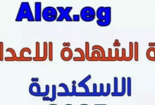 نتائج الشهادة الإعدادية 2025 بالإسكندرية