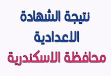 نتائج الشهادة الإعدادية 2025 بمحافظة الإسكندرية