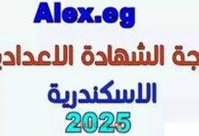نتيجة الشهادة الإعدادية 2025 بالترم الثاني في الإسكندرية برقم الجلوس