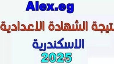 نتيجة الشهادة الإعدادية 2025 بالترم الثاني في الإسكندرية برقم الجلوس