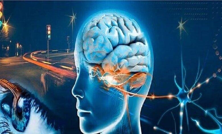 هل يؤثر الذكاء الاصطناعي على الإبداع والذاكرة؟
