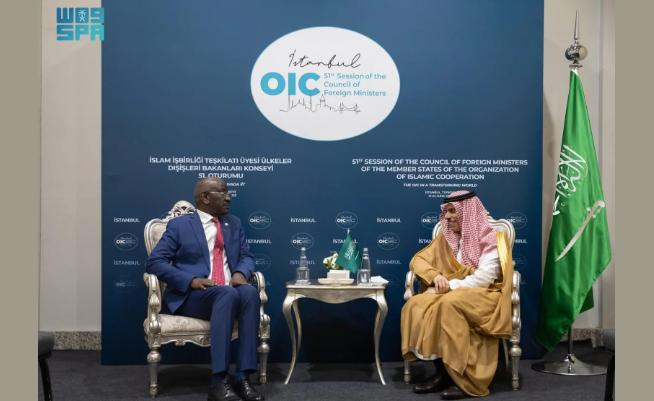 وزير الخارجية السعودي يلتقي نظيره الموريتاني في إسطنبول