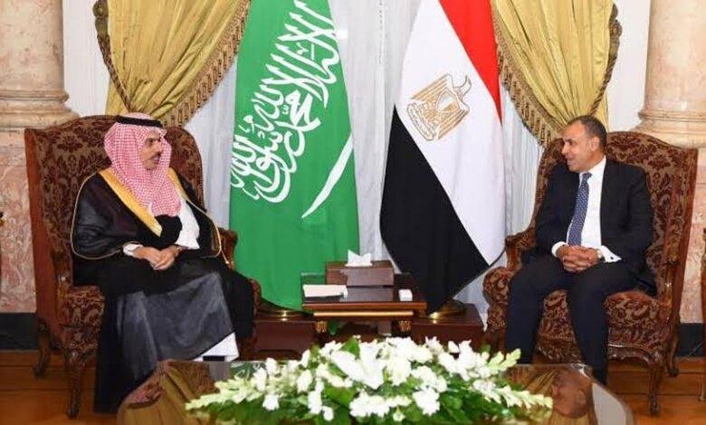وزير الخارجية يبحث التطورات الإقليمية في المنطقة مع نظيره المصري