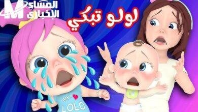 الشاشة نوّرت من تاني.. وناسة للأطفال بتردد جديد وأجواء كلها بهجة