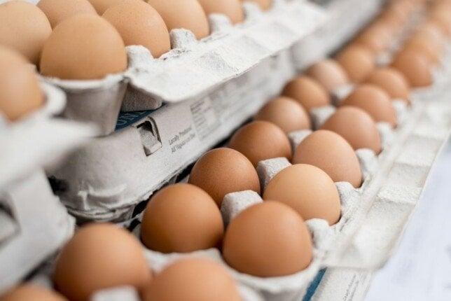 سعر كرتونة البيض اليوم الجمعة 4-7-2025.. الأبيض بكام النهارده؟