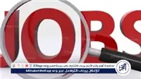 "البترول" تحذر من إعلانات توظيف وهمية باسم الهيئة العامة: احذروا النصب عبر فيسبوك