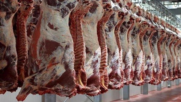 الزراعة: مصر لديها 60% اكتفاء ذاتي من اللحوم وشبه كامل من الدواجن