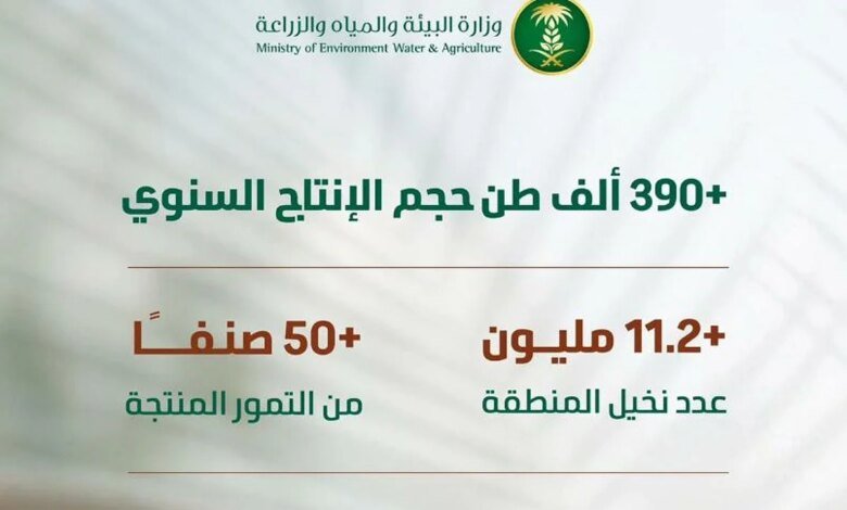 بإنتاج يتجاوز 390 ألف طن.. «البيئة»: موسم جني بواكير التمور بالقصيم يعزز الحراك الاقتصادي في المملكة