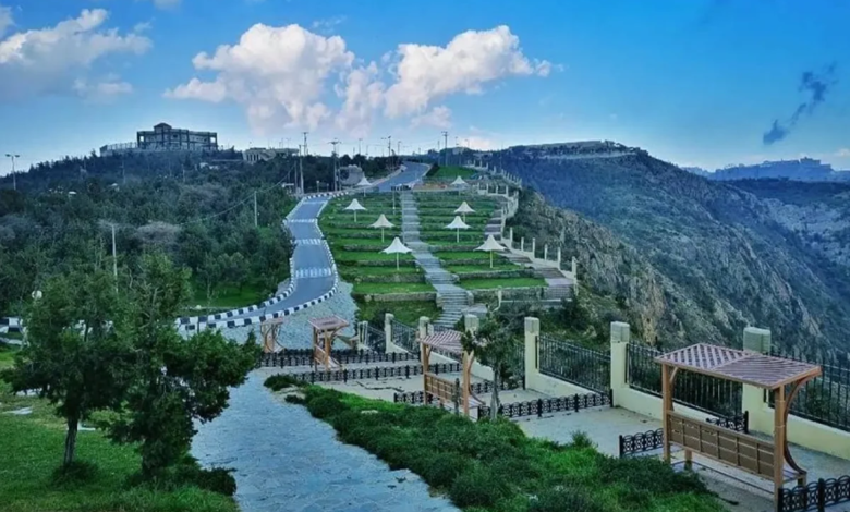 غابة رغدان.. وجهة راقية لزوار وسكان الباحة