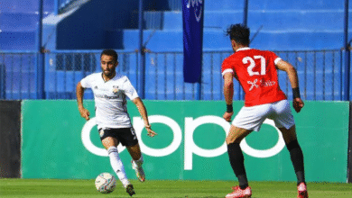 زد وطلائع الجيش